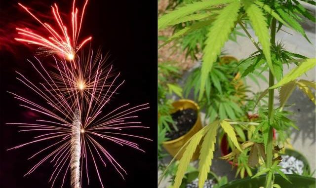 Fireworks and weed