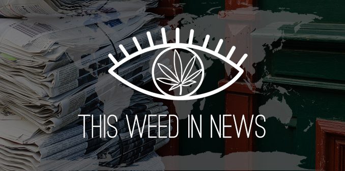 weed news