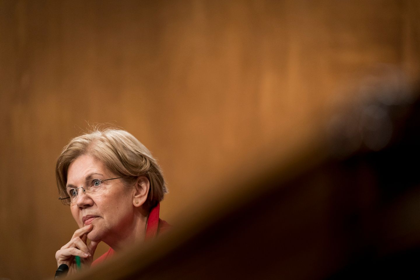 Senator Elizabeth Warren