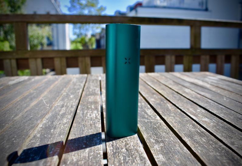 pax3