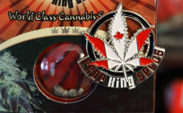 king seeds with canadian flag