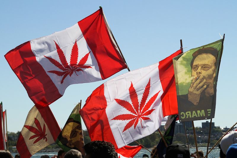 Marijuana flag