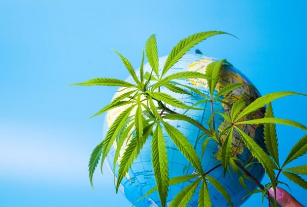 marijuana sales worldwide