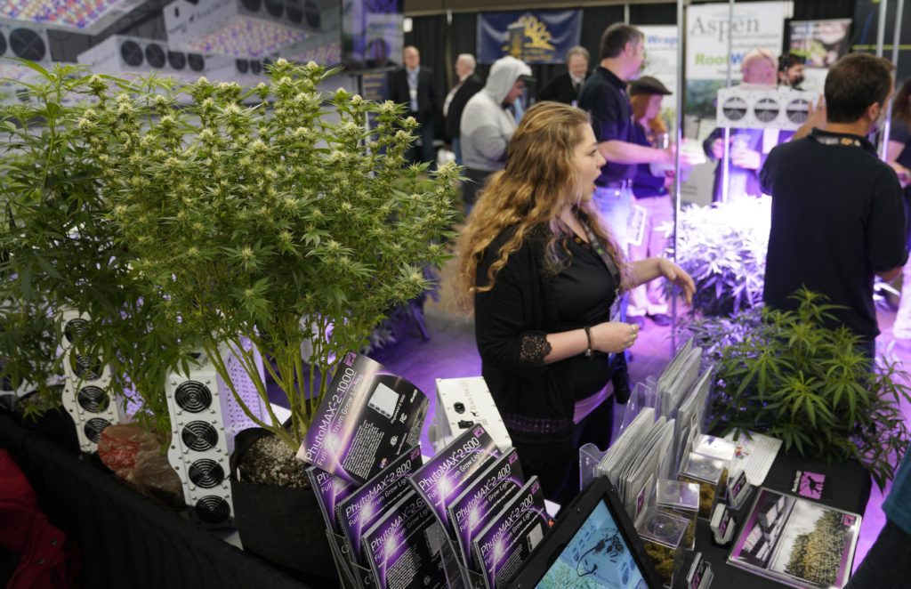 Oregon Marijuana Market Has Too Much Weed, Price Is Dropping
