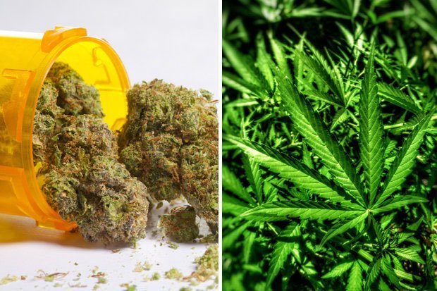 First NHS clinic for weed addicts launched to treat cannabis-induced psychosis sufferers
